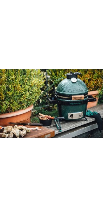 Big Green Egg mini Big Green Egg mini